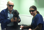 Dee Laser Therapy
