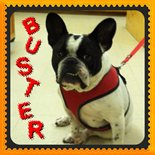 Buster - visit