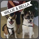 Willie and Bella