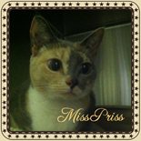 Miss Priss